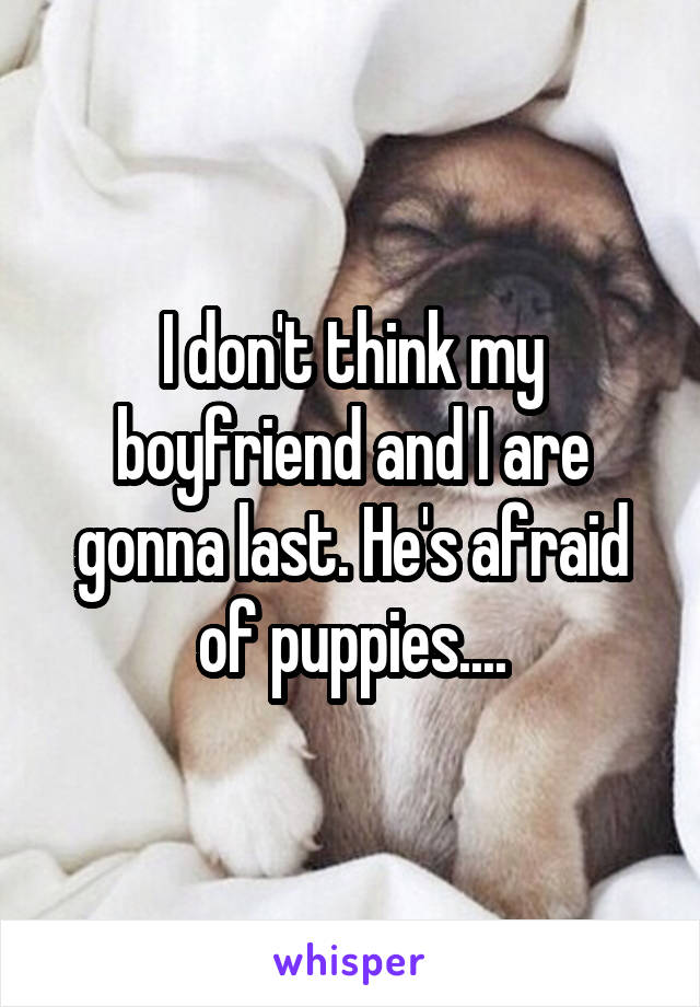 I don't think my boyfriend and I are gonna last. He's afraid of puppies....