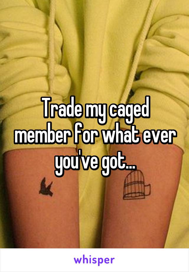 Trade my caged member for what ever you've got...