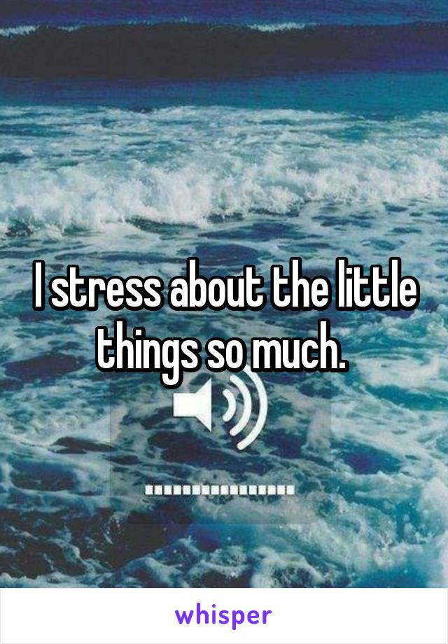 I stress about the little things so much. 