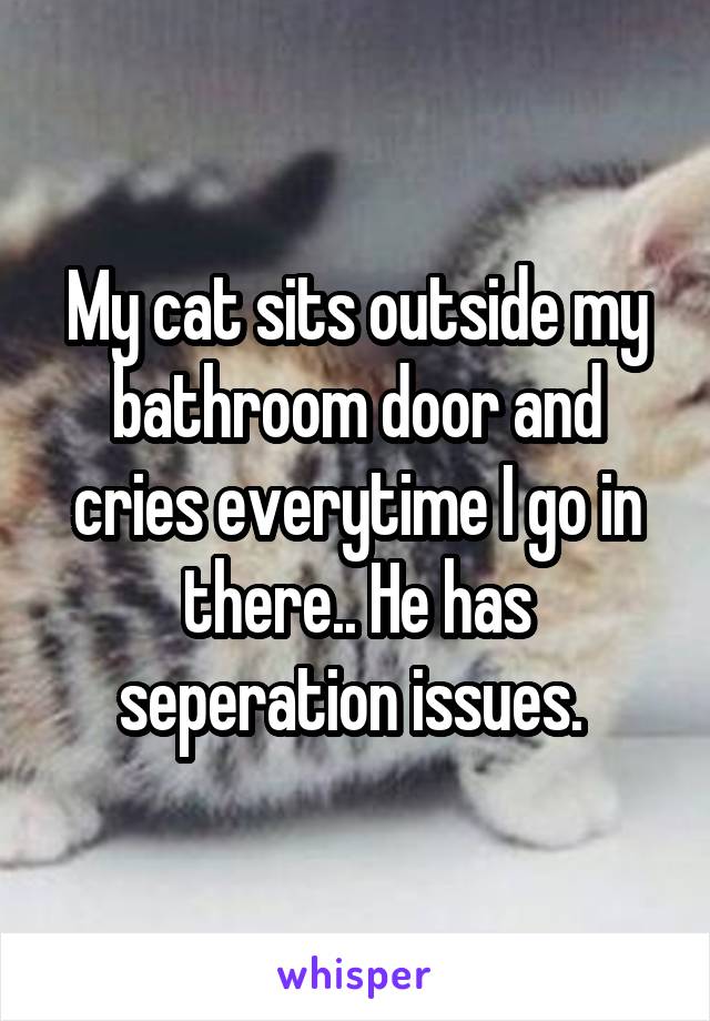 My cat sits outside my bathroom door and cries everytime I go in there.. He has seperation issues. 