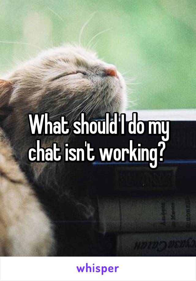 What should I do my chat isn't working? 