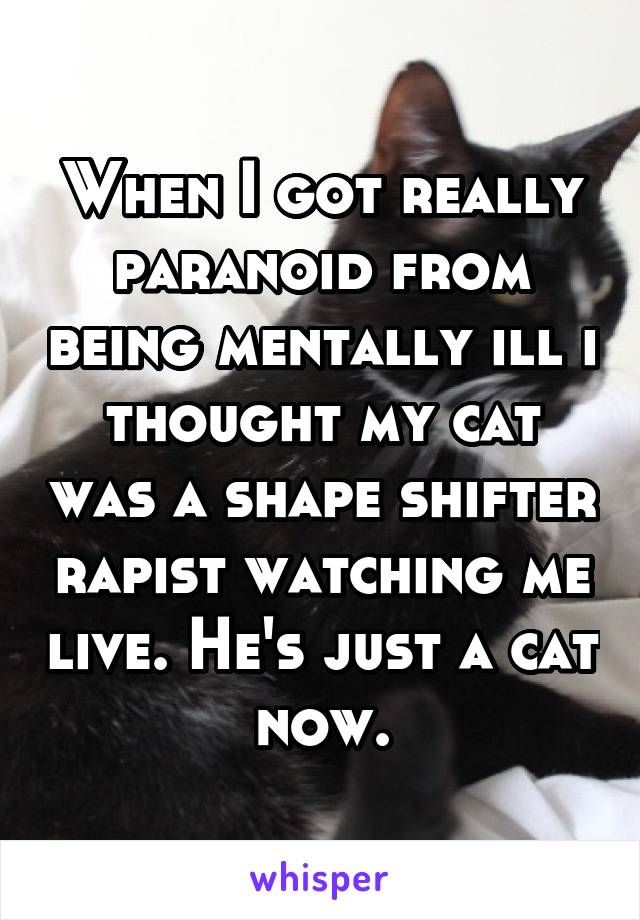 When I got really paranoid from being mentally ill i thought my cat was a shape shifter rapist watching me live. He's just a cat now.