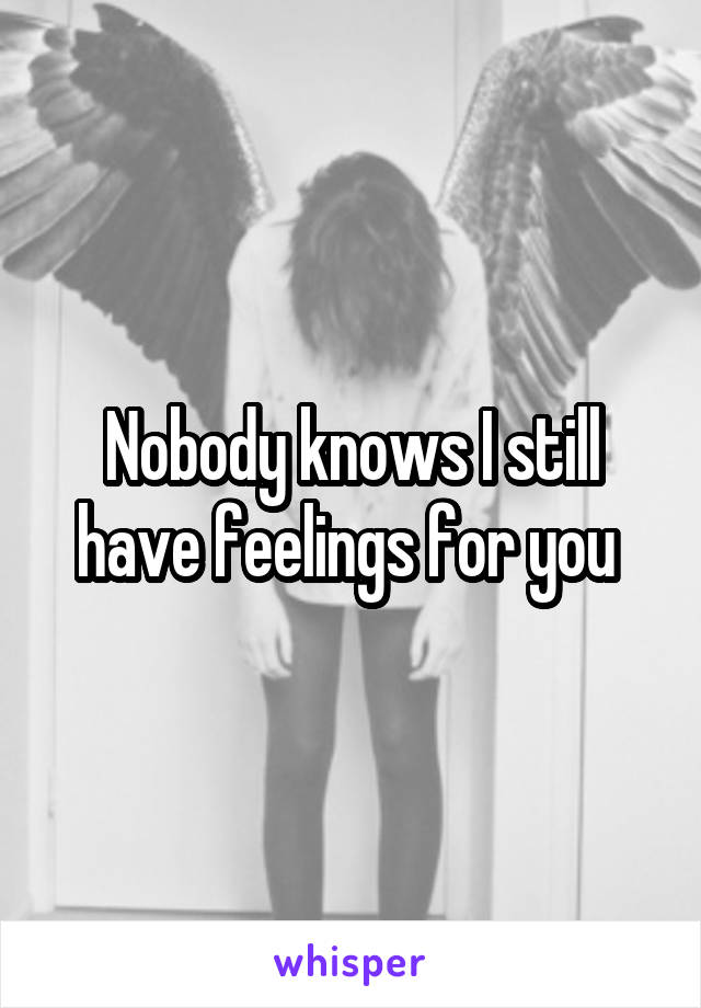 Nobody knows I still have feelings for you 