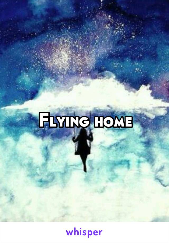 Flying home