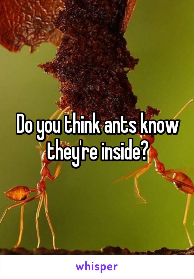 Do you think ants know they're inside?