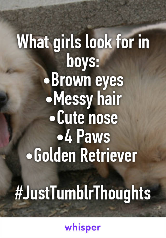 What girls look for in boys:
•Brown eyes
•Messy hair
•Cute nose
•4 Paws
•Golden Retriever 

#JustTumblrThoughts