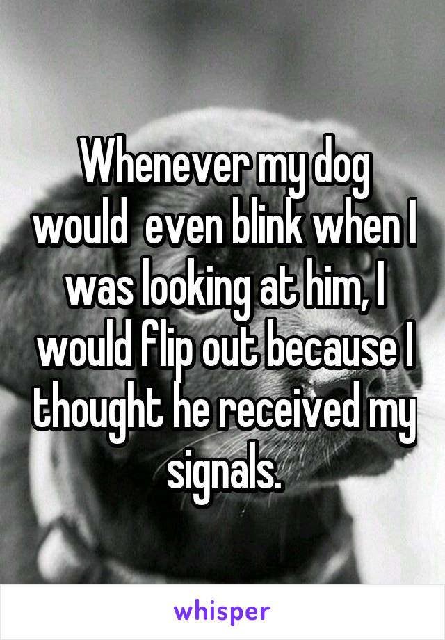 Whenever my dog would  even blink when I was looking at him, I would flip out because I thought he received my signals.