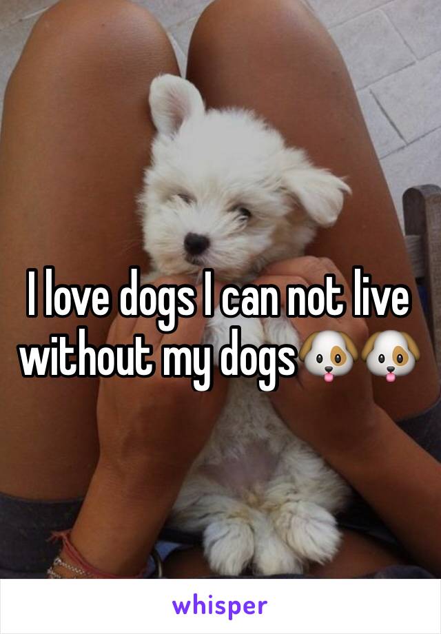 I love dogs I can not live without my dogs🐶🐶