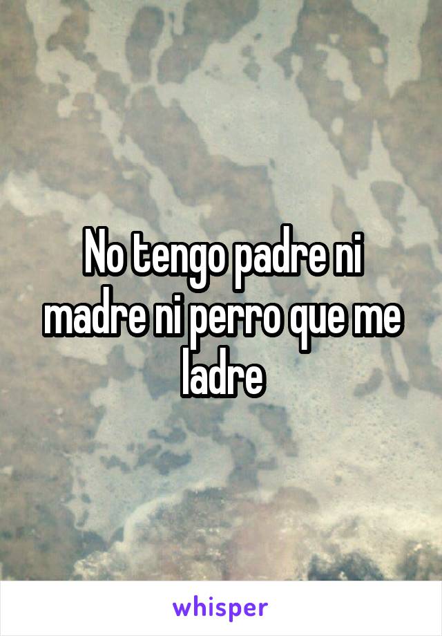 No tengo padre ni madre ni perro que me ladre