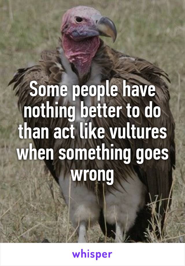 Some people have nothing better to do than act like vultures when something goes wrong