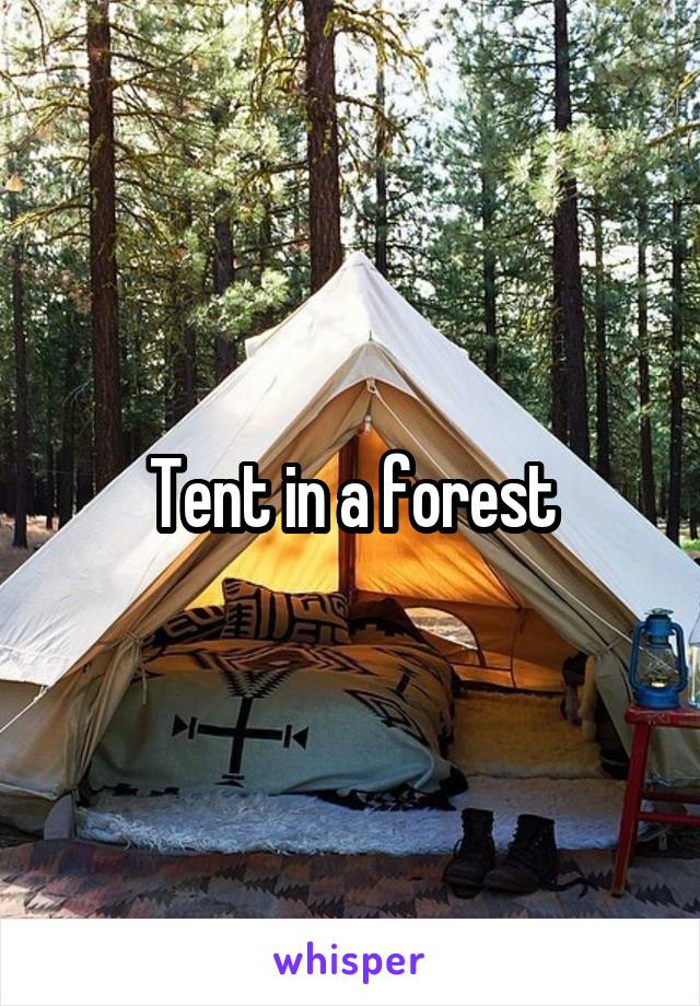 Tent in a forest