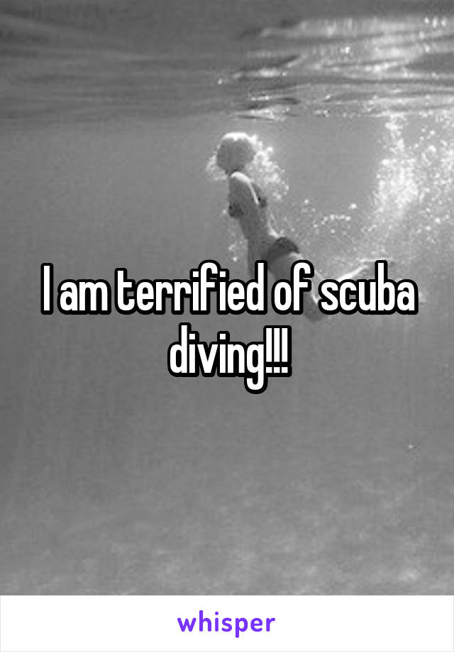 I am terrified of scuba diving!!!