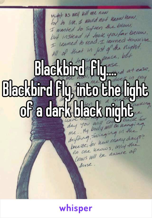 Blackbird  fly....
Blackbird fly, into the light of a dark black night
