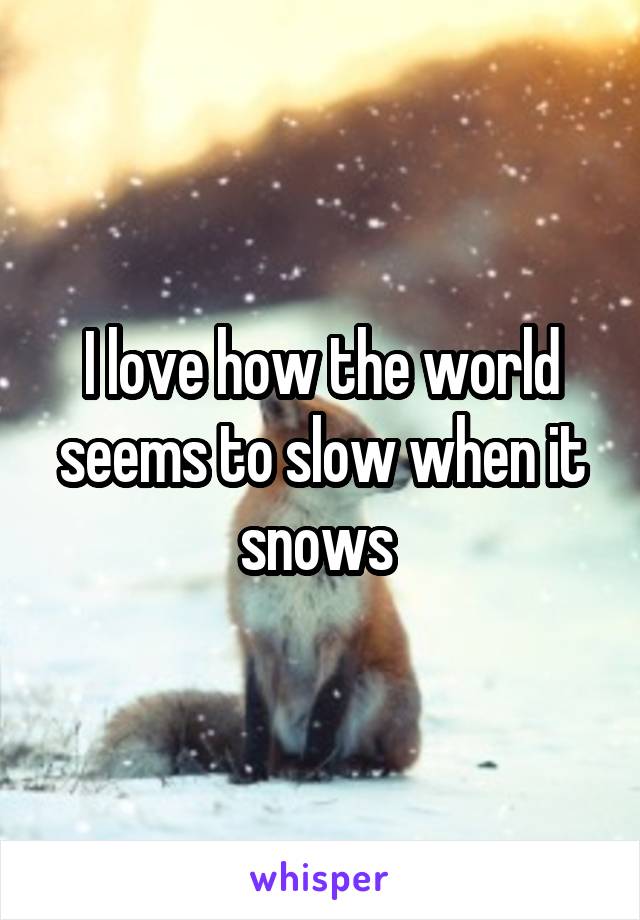 I love how the world seems to slow when it snows 