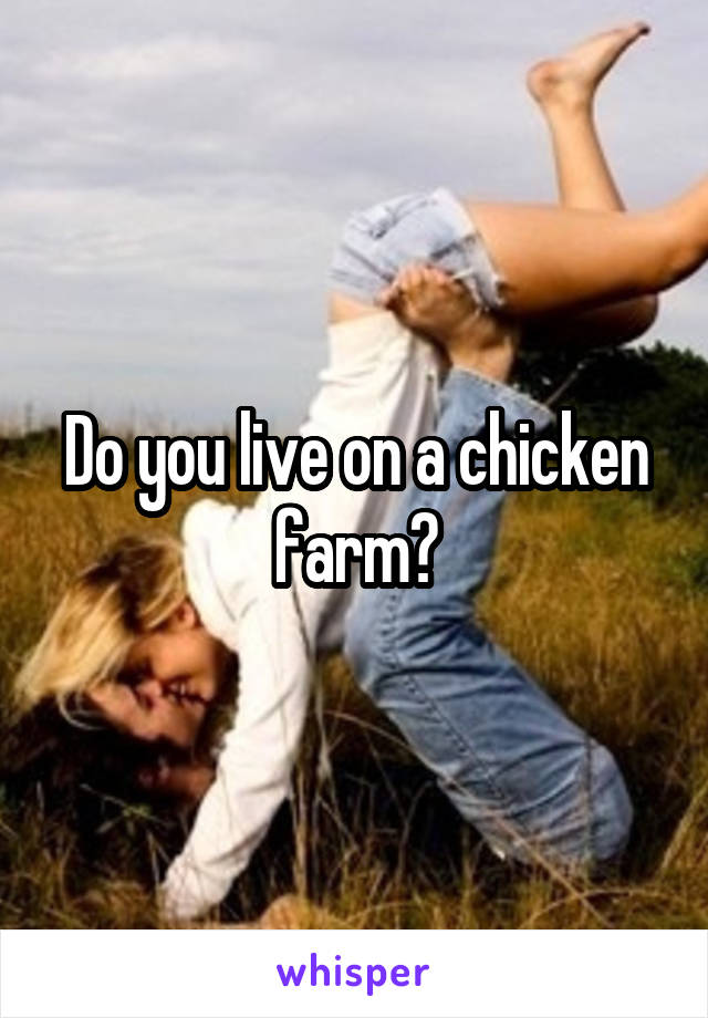 Do you live on a chicken farm?