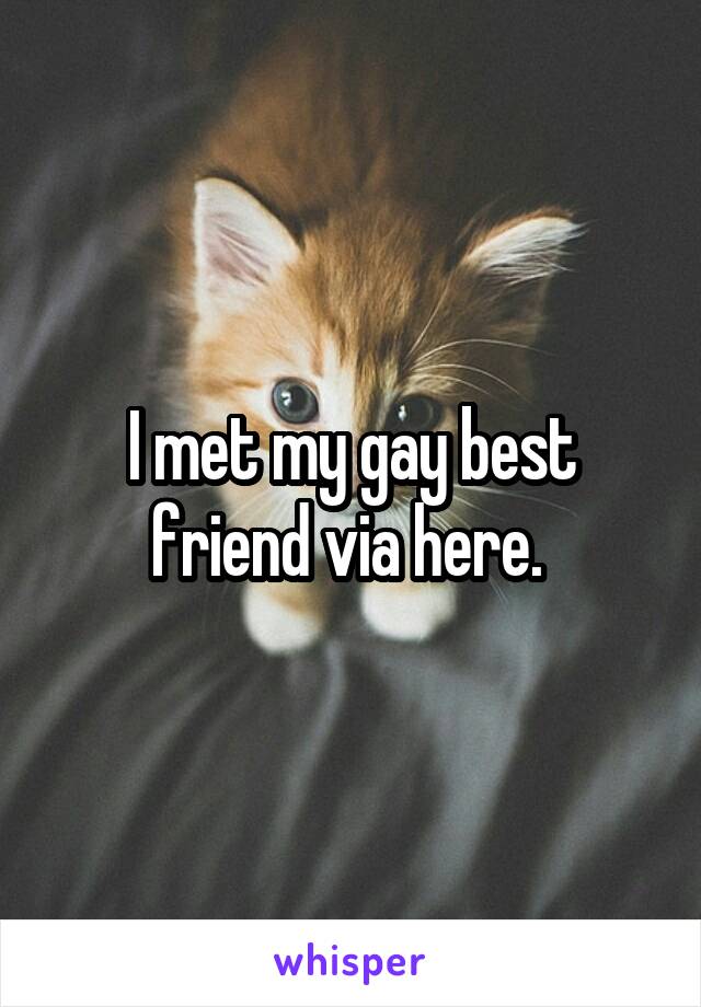 I met my gay best friend via here. 