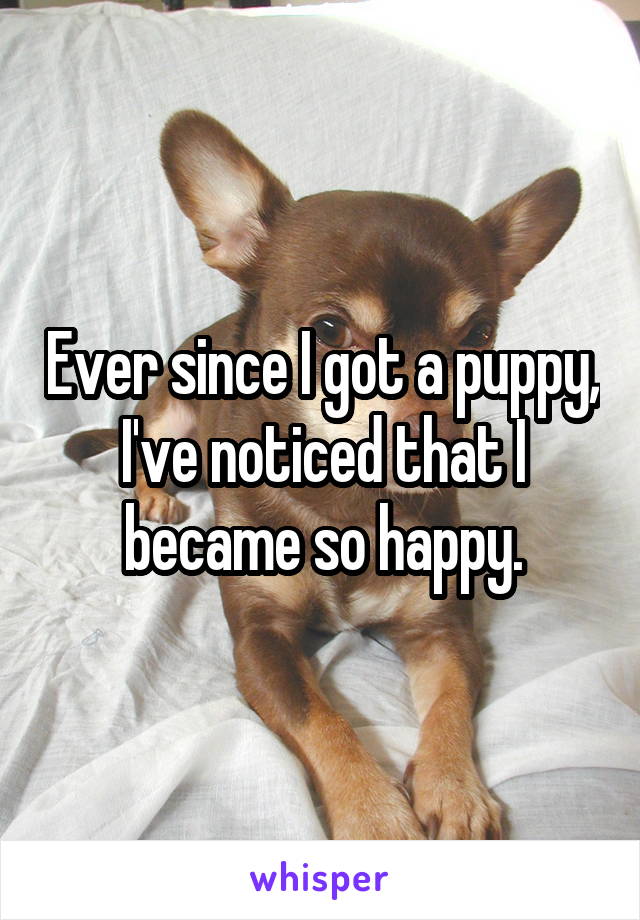 Ever since I got a puppy, I've noticed that I became so happy.