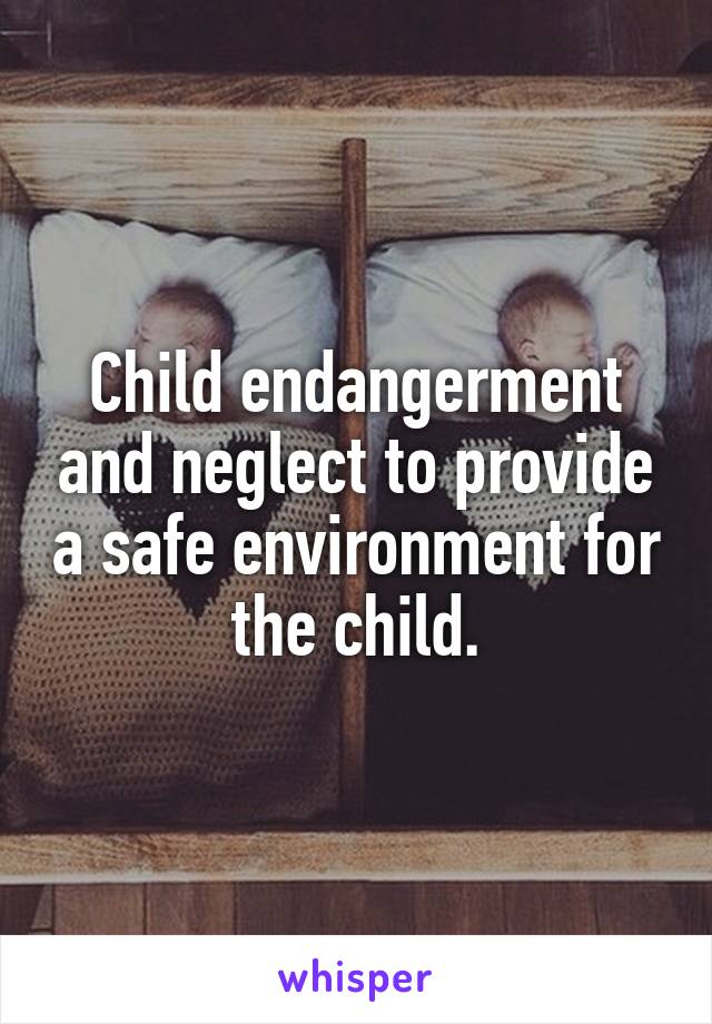 Child endangerment and neglect to provide a safe environment for the child.