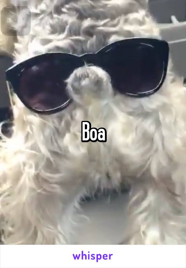 Boa