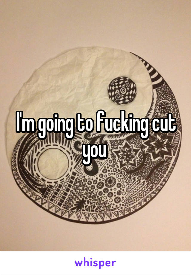 I'm going to fucking cut you 