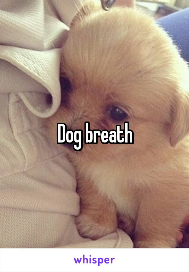 Dog breath