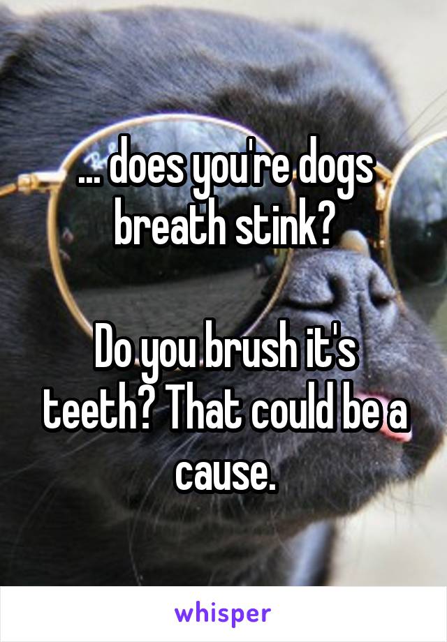 ... does you're dogs breath stink?

Do you brush it's teeth? That could be a cause.