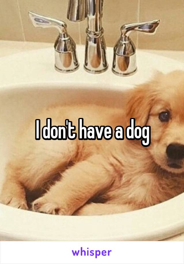 I don't have a dog