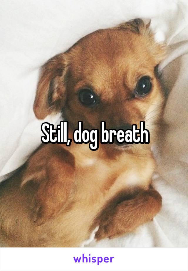 Still, dog breath