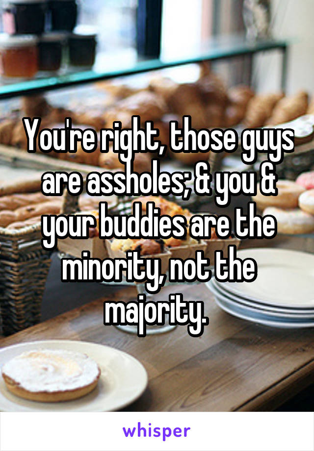 You're right, those guys are assholes; & you & your buddies are the minority, not the majority. 