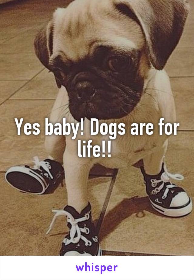 Yes baby! Dogs are for life!! 