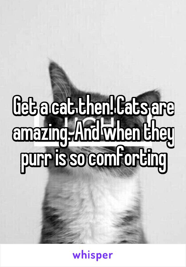 Get a cat then! Cats are amazing. And when they purr is so comforting