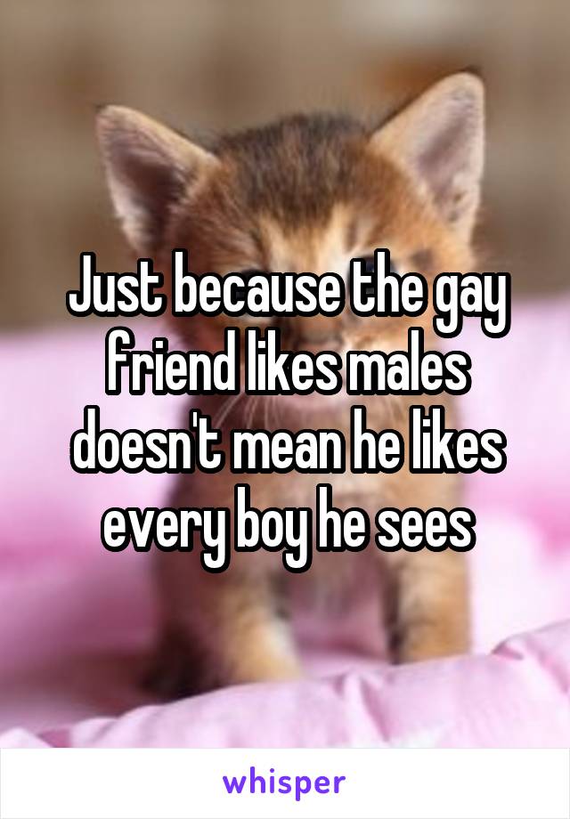 Just because the gay friend likes males doesn't mean he likes every boy he sees