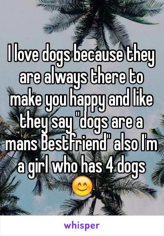 I love dogs because they are always there to make you happy and like they say "dogs are a mans Bestfriend" also I'm a girl who has 4 dogs 😊
