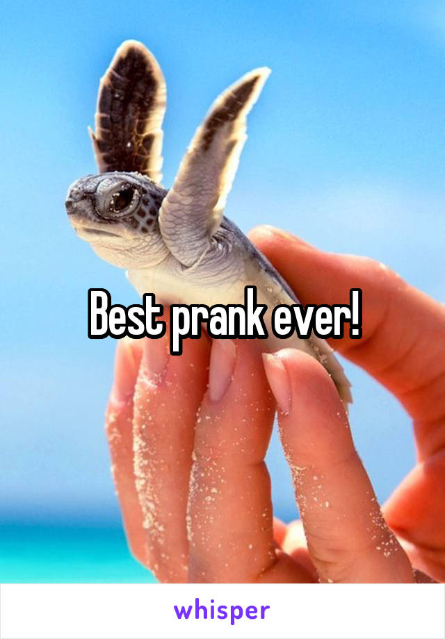 Best prank ever!