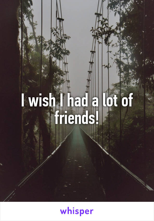 I wish I had a lot of friends!