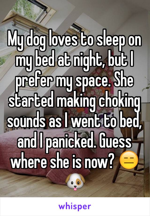 My dog loves to sleep on my bed at night, but I prefer my space. She started making choking sounds as I went to bed, and I panicked. Guess where she is now? 😑🐶