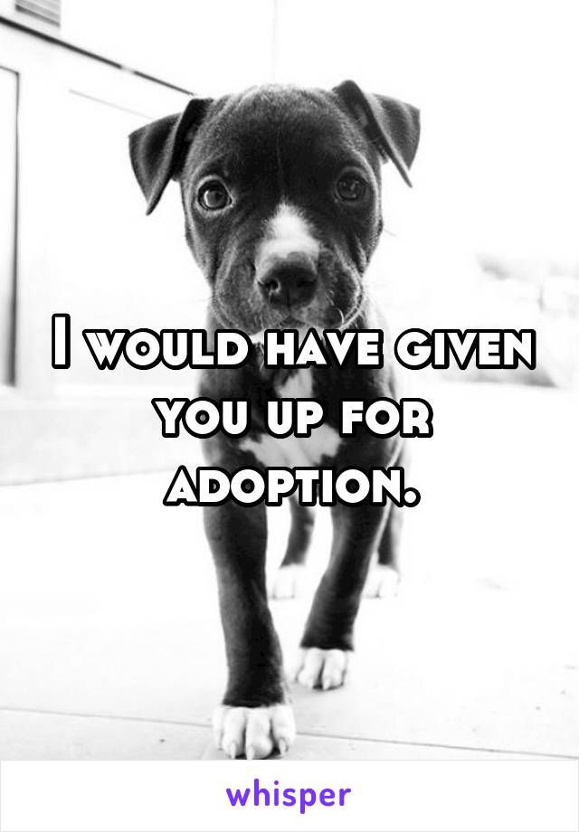 I would have given you up for adoption.