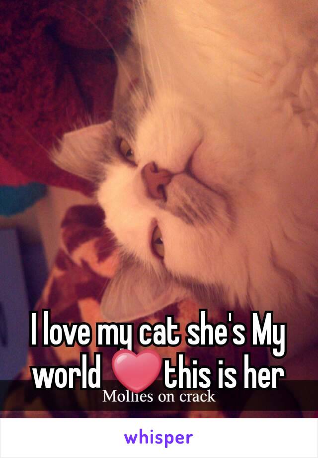 I love my cat she's My world ❤this is her