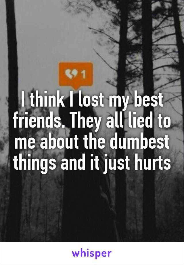 I think I lost my best friends. They all lied to me about the dumbest things and it just hurts