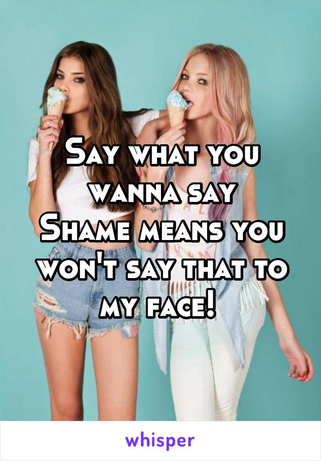 Say what you wanna say
Shame means you won't say that to my face! 