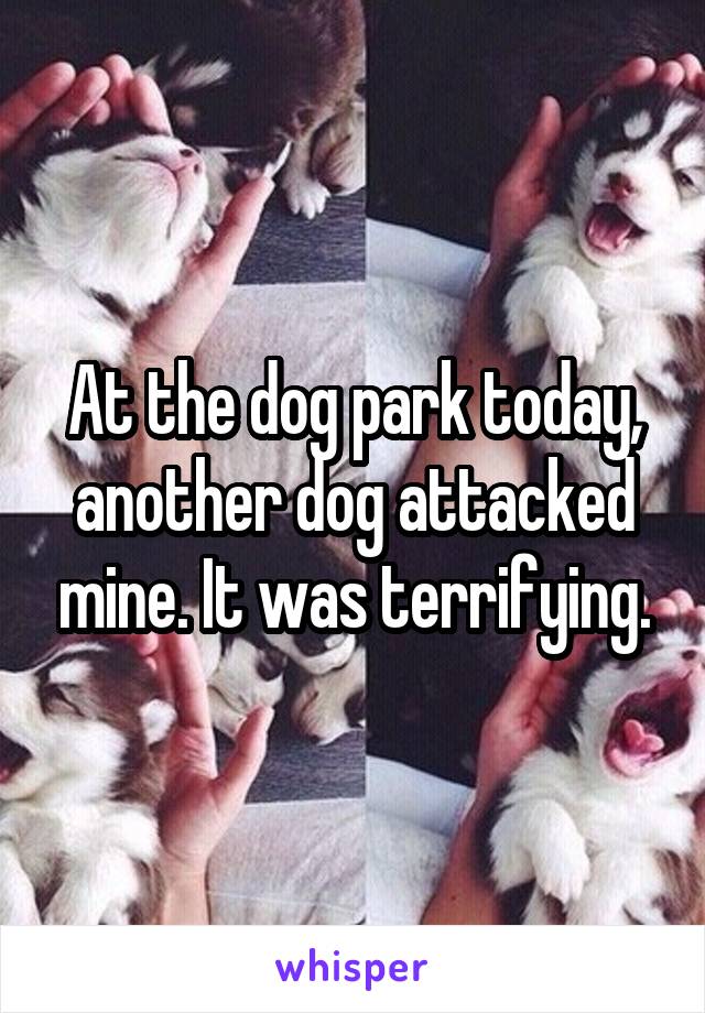 At the dog park today, another dog attacked mine. It was terrifying.