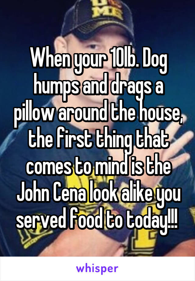 When your 10lb. Dog humps and drags a pillow around the house, the first thing that comes to mind is the John Cena look alike you served food to today!!! 