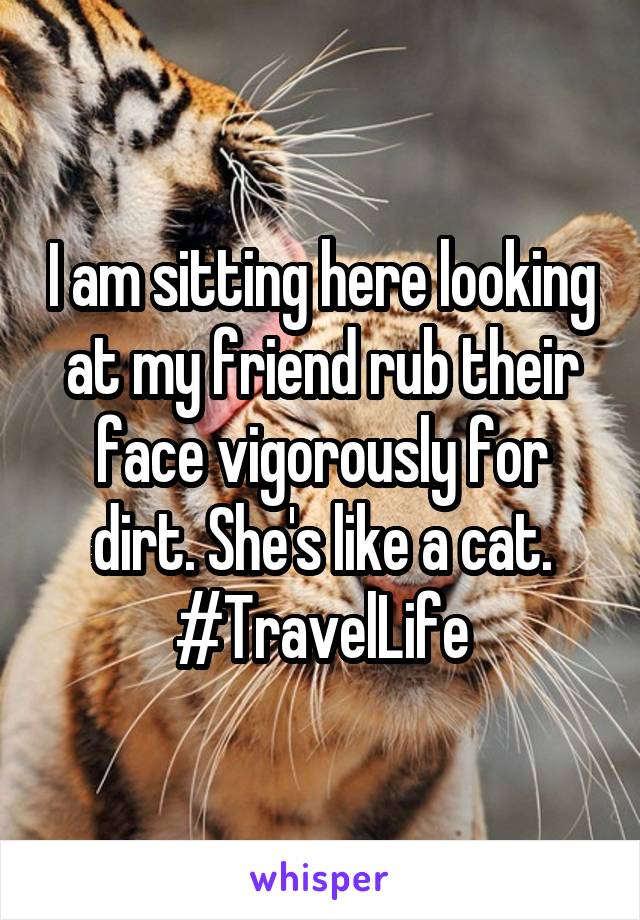 I am sitting here looking at my friend rub their face vigorously for dirt. She's like a cat. #TravelLife