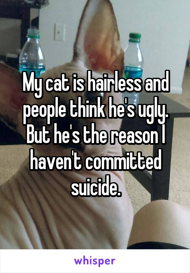 My cat is hairless and people think he's ugly. But he's the reason I haven't committed suicide.