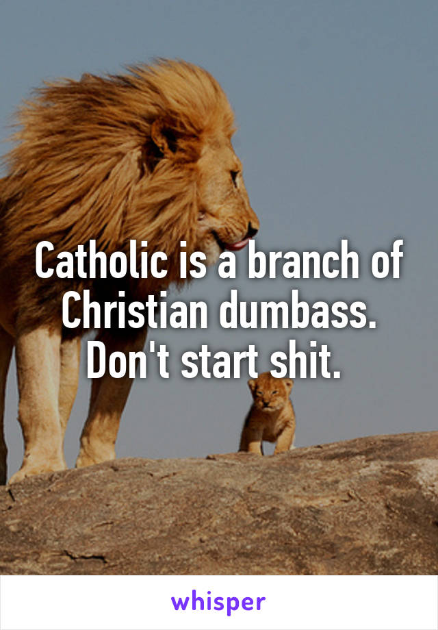 Catholic is a branch of Christian dumbass. Don't start shit. 