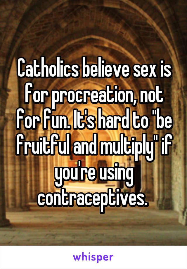 Catholics believe sex is for procreation, not for fun. It's hard to "be fruitful and multiply" if you're using contraceptives. 