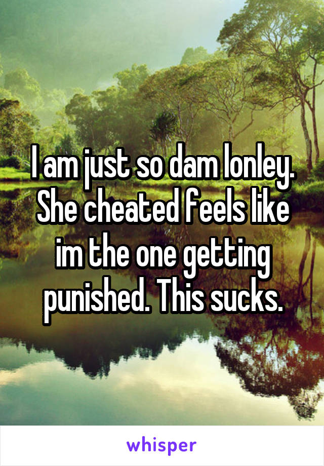 I am just so dam lonley. She cheated feels like im the one getting punished. This sucks.