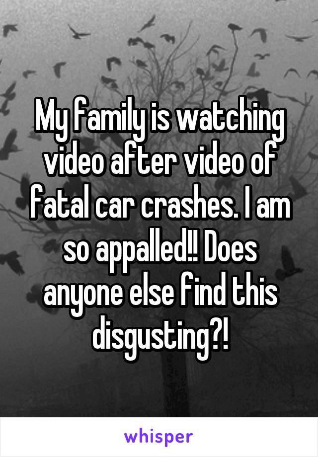 My family is watching video after video of fatal car crashes. I am so appalled!! Does anyone else find this disgusting?!