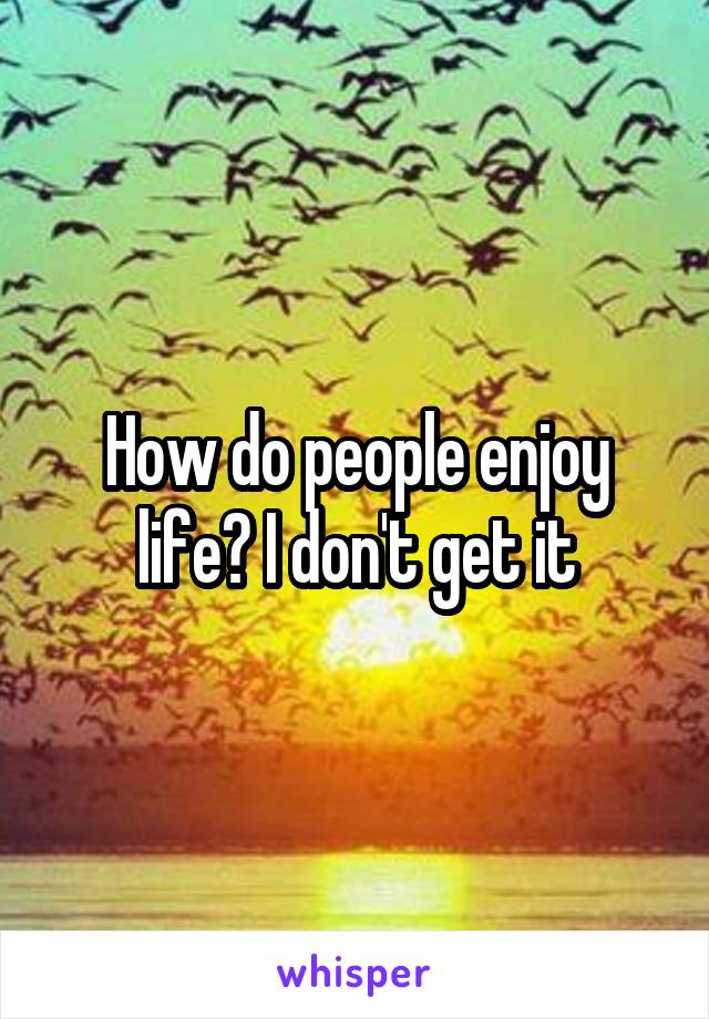 How do people enjoy life? I don't get it
