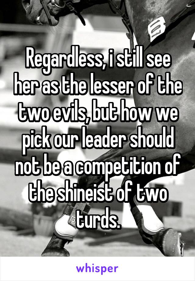 Regardless, i still see her as the lesser of the two evils, but how we pick our leader should not be a competition of the shineist of two turds.